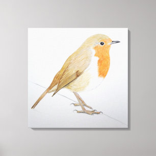 Toile Robin 2011