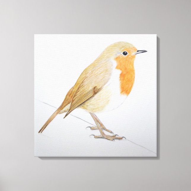 Toile Robin 2011 (Recto)