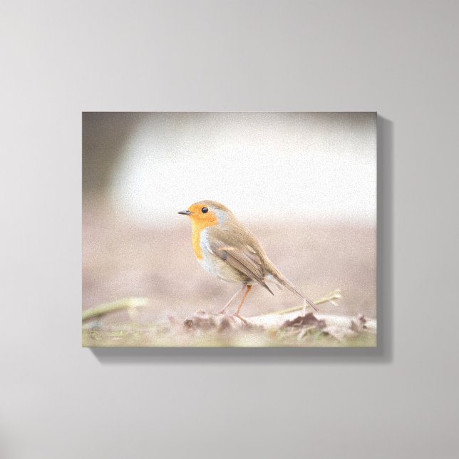 Toile Robin Bird Nature Photo (Recto)