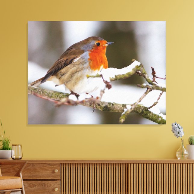 Toile robin dans la neige (Insitu(Salon))