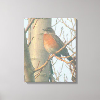 Toile - Robin d'hiver