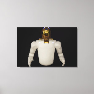 Toile Robonaut 2, un adroit, hel 3 d'astronaute de
