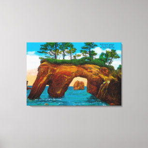 Toile Roche d'éléphant sur la côte de Washington