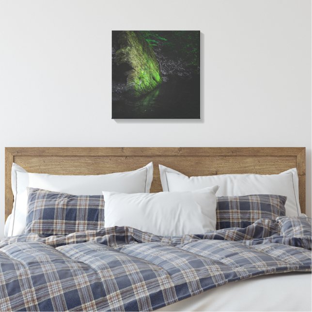 Toile Rocher vert moussu avec reflet dans l'eau (Insitu(Chambre))