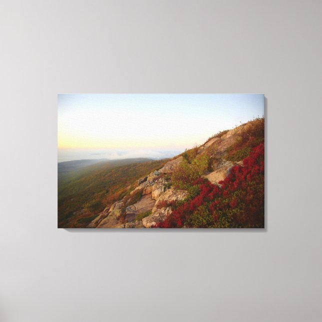 Toile Rocheuses, Fleurs rouges, Parc national Acadia (Recto)