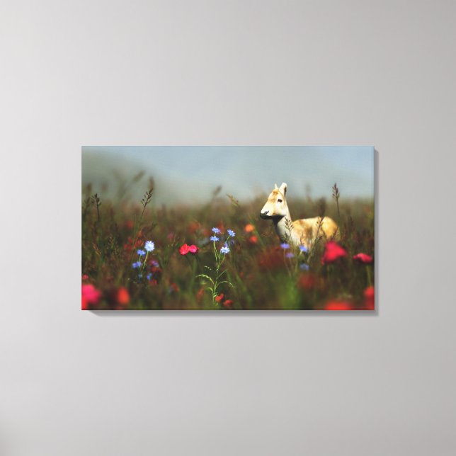 Toile Roe dans une zone de prairie Imprimer (Recto)