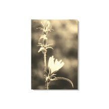 Romantic Trees & Flowers – Botanical Fantasy Boho 