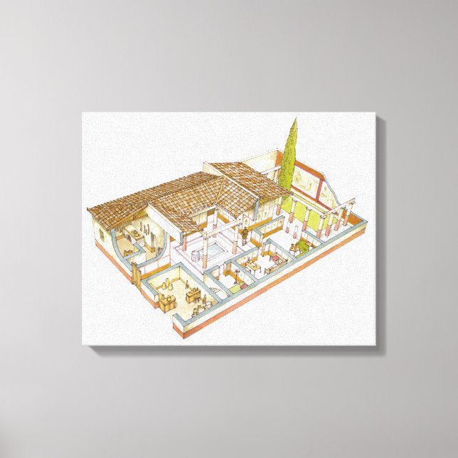 Toile Rome. Domus (Recto)