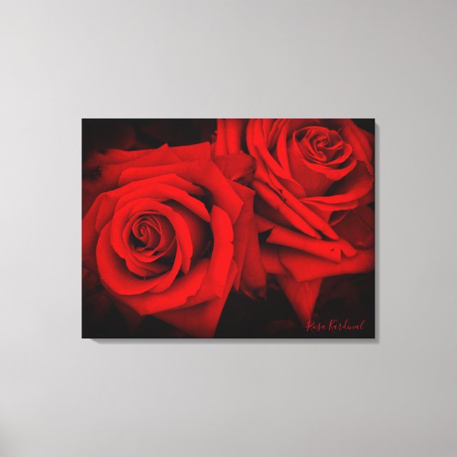 Toile Rosa Kardinal：Canvas Print (Recto)