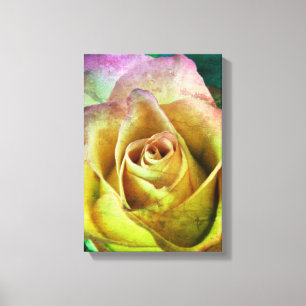 Toile rose