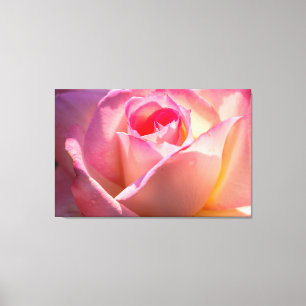 Toile Rose