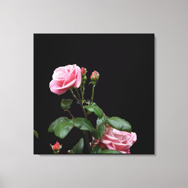 Toile Rose ANGLAIS ROSE CANVAS IMPRIMER (Recto)