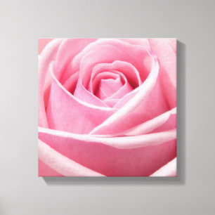 Toile Rose Art-Pink