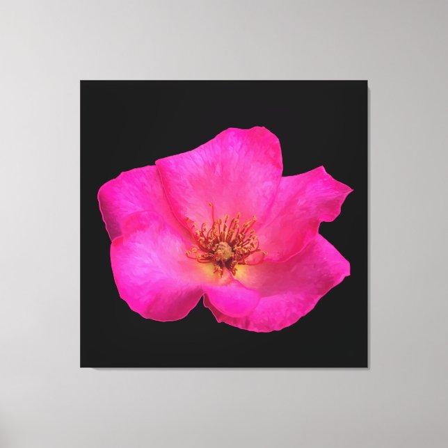 Toile Rose au stylo-feutre (Recto)
