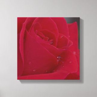 Toile Rose avec Dew