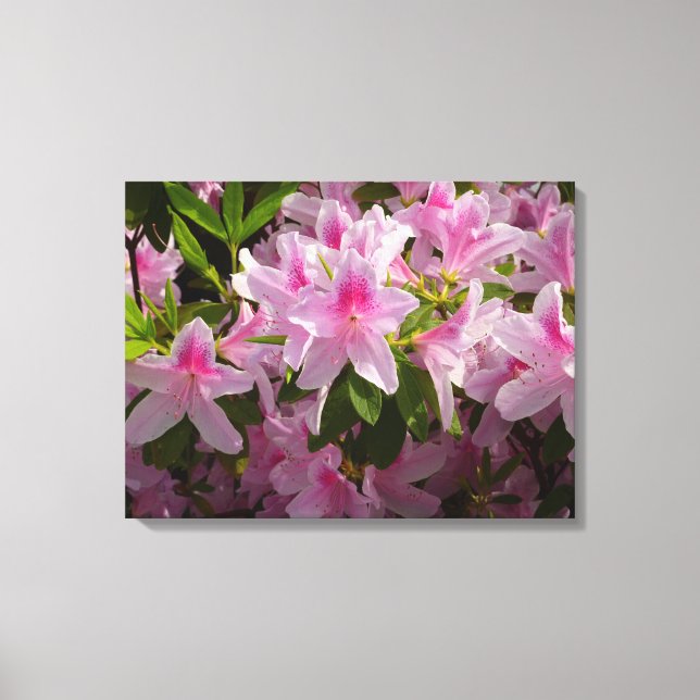 Toile Rose Azalea Bush printemps floral (Recto)