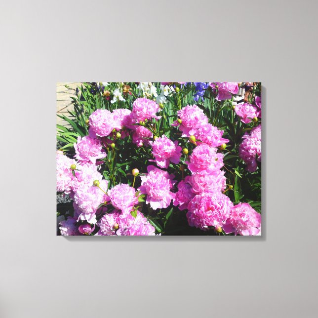 Toile rose blanc (Recto)