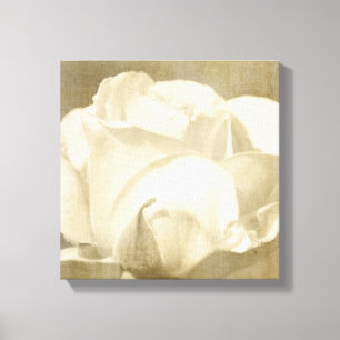 Toile Rose blanc
