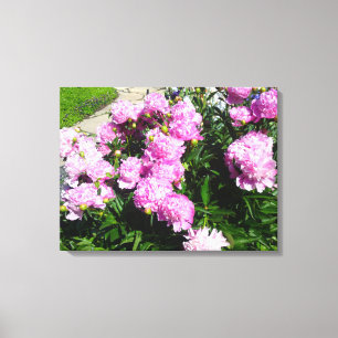 Toile rose blanc
