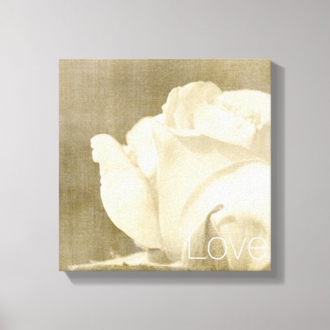 Toile Rose blanche amour (Recto)