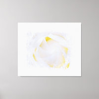 *~* Rose Blanche Macro Floral Abstrait Grunge AR8