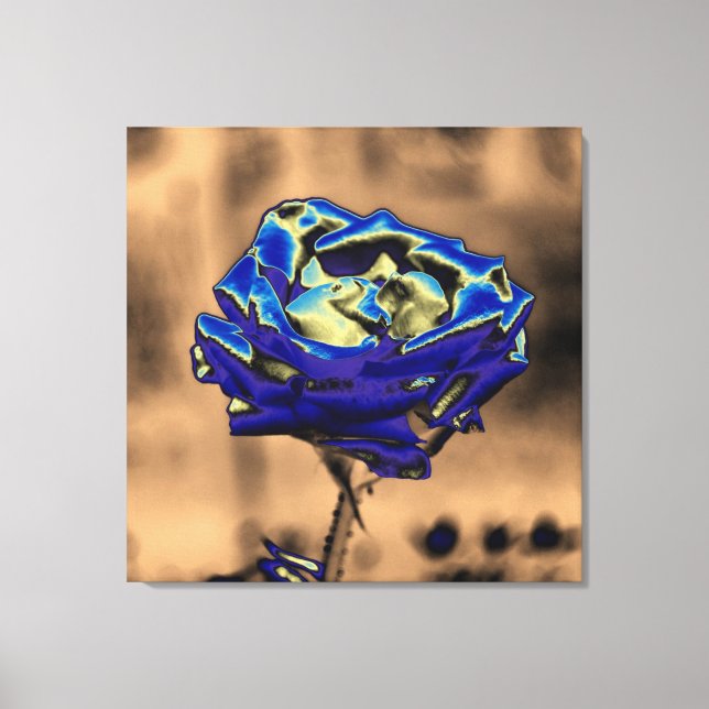 Toile Rose bleu (Recto)