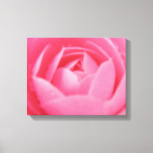 Toile rose Camelia