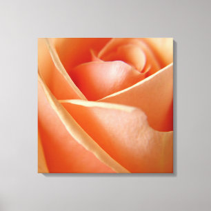 Toile Rose de paix