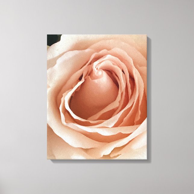 Toile Rose de plage (Recto)