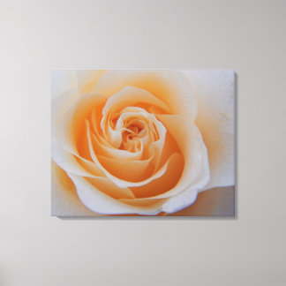 Toile Rose de plage