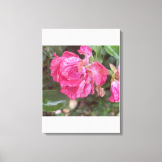Toile Rose Florale Imprimée grreyforaday