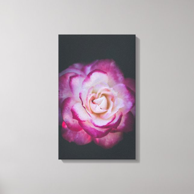 Toile Rose Fuchsia (Recto)