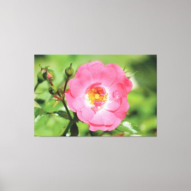 Toile Rose Jardin Rose Naturel (Recto)