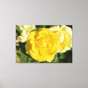 Toile Rose jaune