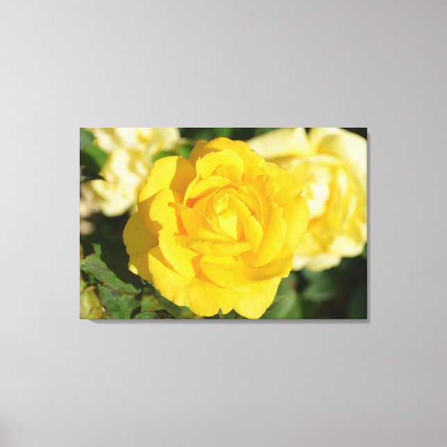 Toile Rose jaune (Recto)