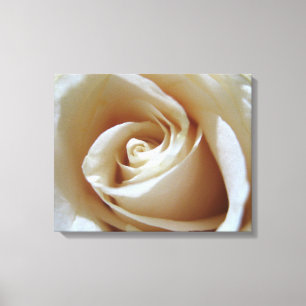Toile Rose Mariage blanc souple
