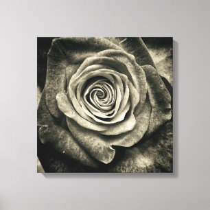 Toile Rose noir et blanc