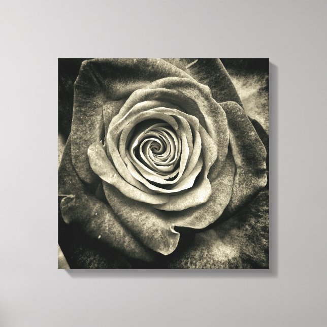 Toile Rose noir et blanc (Recto)
