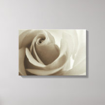 Rose romantique Sepia Flower