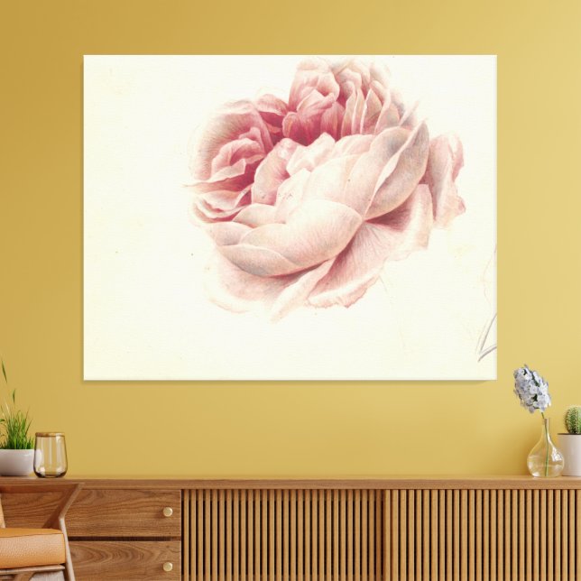 Toile Rose Roos (1792) – Botanique Ancienne de Collectio (Insitu(Salon))