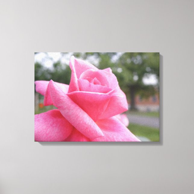 Toile rose rose (Recto)