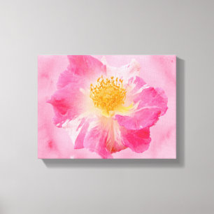 Toile Rose rose