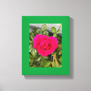 Toile Rose Rose #4
