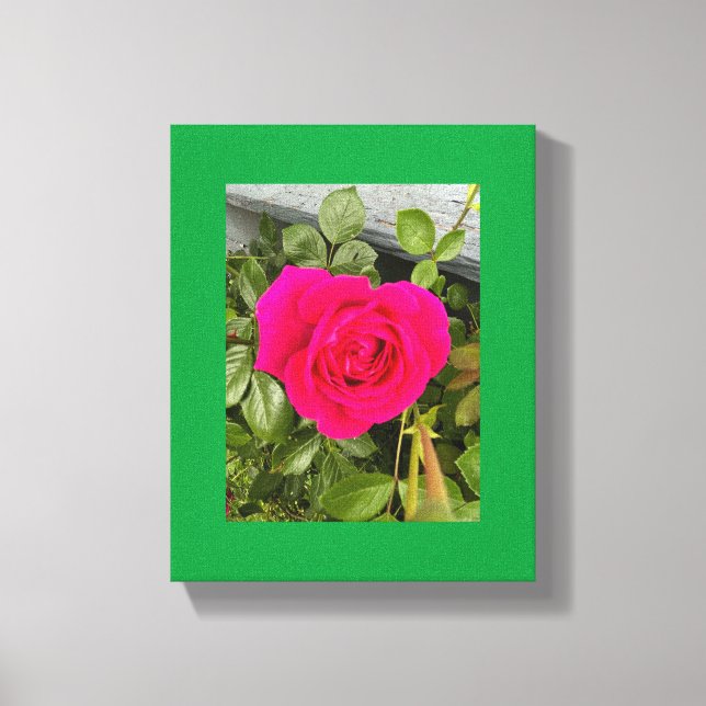 Toile Rose Rose #4 (Recto)