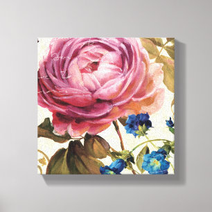 Toile Rose rose en pleine floraison