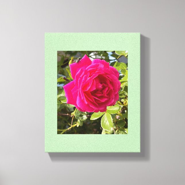 Toile Rose rose et une mouche (Recto)