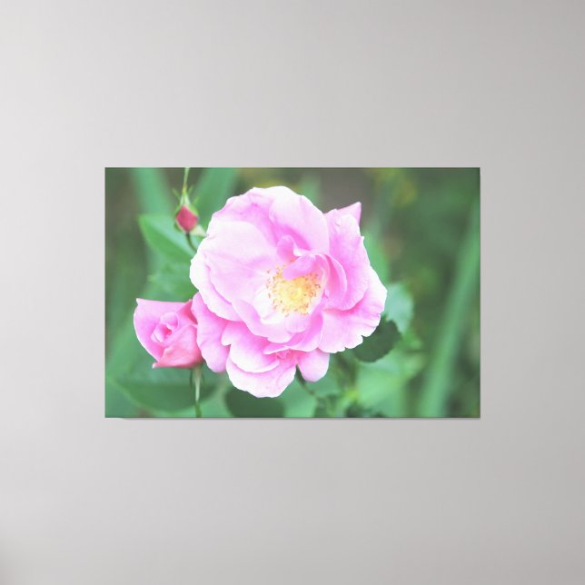 Toile rose rose extra grande (Recto)