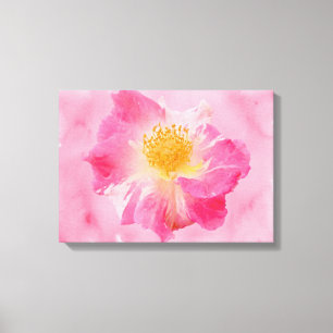 Toile Rose rose rose
