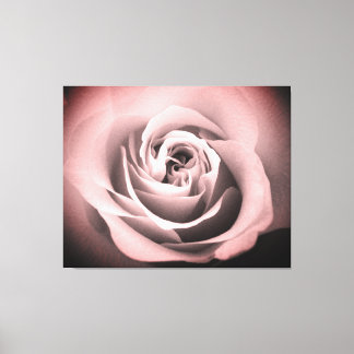 Toile Rose rose rose