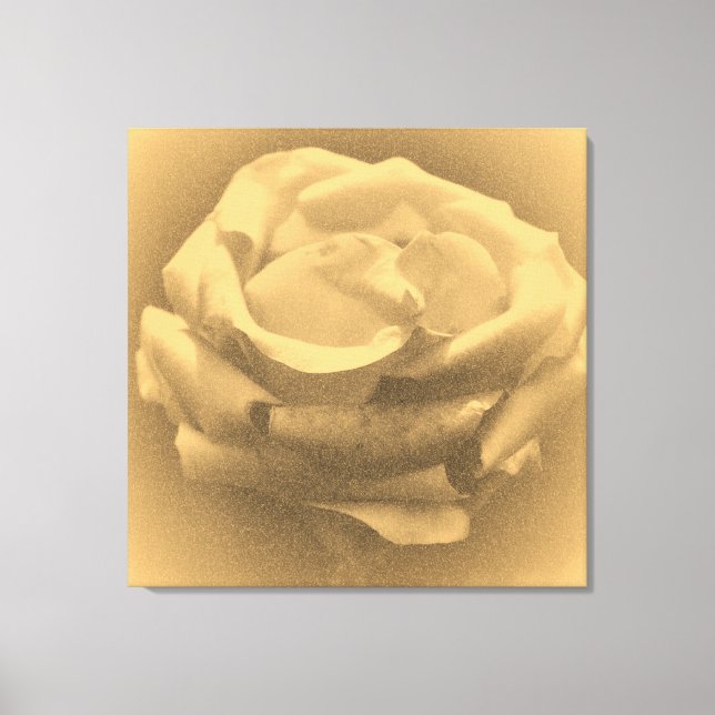 Toile Rose rose rose vintage (Recto)